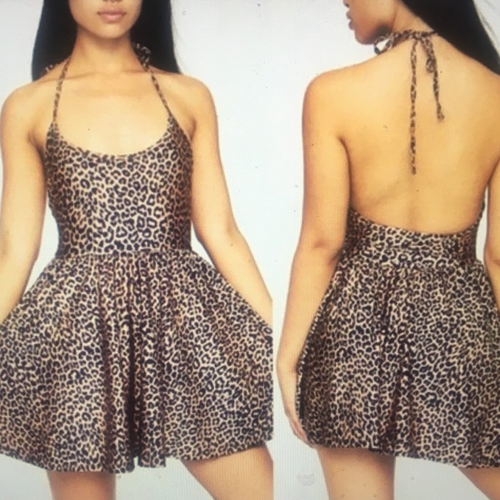 American Apparel Leopard Print Skater Dress🐾